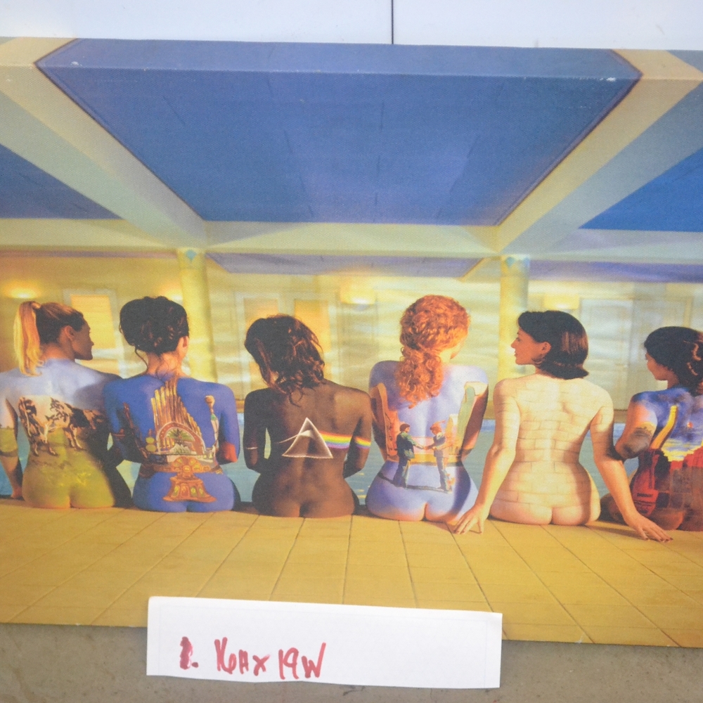 Pink Floyd Back Catalog Canvas painting